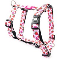 Max & Molly H-Geschirr - Strawberry Dream S