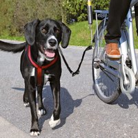 Trixie Zestaw rowerowy dla psów