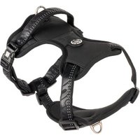 Max & Molly Sport Geschirr - Matrix 2.0 Black M