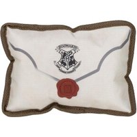 AniPuro Invitation Harry Potter Poudlard ARCE