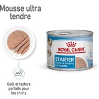 ROYAL CANIN Starter Mother & Babydog Mousse 12x195 g