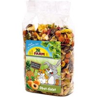 JR Farm Salade de fruits 600 g