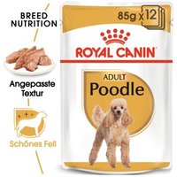 royal-canin-poodle-adult-in-so-e-12x85-g