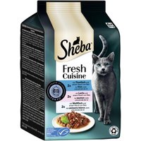 Sheba Fresh Cuisine nourriture humide pour chat adulte multipack Taste of Tokio 36x50 g