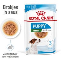 ROYAL CANIN Mini Puppy 12x85 g