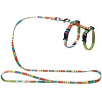 Hunter Harnais chat/chiot