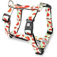 Max & Molly H-Geschirr - Watermelon M