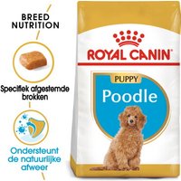 ROYAL CANIN BHN Poedel Puppy 3kg