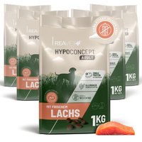 REAVET Hypoconcept Trockenfutter – Mit frischem Lachs