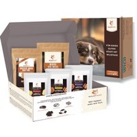 Wildfang Paket "Snack gesund"