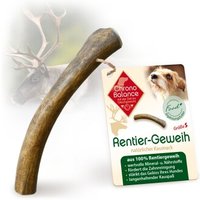 ChronoBalance Rentier Geweih Snack S