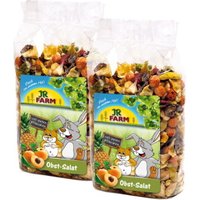 JR Farm Salade de fruits 2x600 g