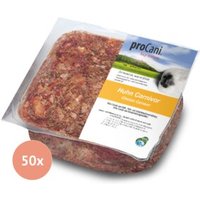ProCani Huhn "Carnivor" 50x500g