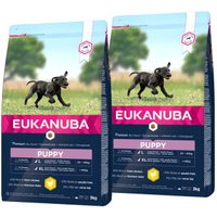 EUKANUBA Puppy Large Breed 2x3 kg