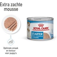 ROYAL CANIN Starter Moeder & Babydog Mousse 12x195 g