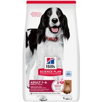 Hill's Science Plan croquettes chien, Medium adulte, à l’agneau et au riz 14 kg
