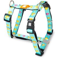 Max & Molly H-Geschirr - Ducklings S