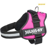 Trixie Julius-K9® Powergeschirr® Gr. 0-3 fuchsia L Trixie Julius-K9® Powergeschirr® Gr. 0-3 fuchsia L