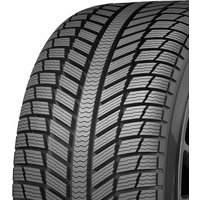 195/65 R15 91H Everest1 X