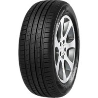 215/60 R16 95 V EcoPower 4 (F209)