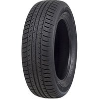 195/65 R15 95T Polarbear 1 XL