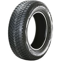 185/65 R15 88H Mozzo Winter