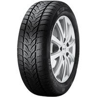 225/65 R17 102H RP 60 Winter FR 3PMSF