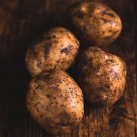Organic baking potatoes (pack of 4)
