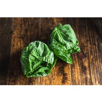 Brussels sprout tops