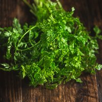 Chervil