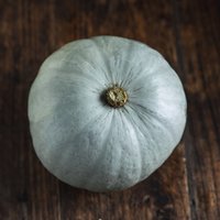 Organic Crown Prince squash (x1)