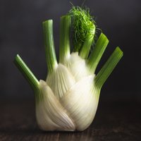 Organic fennel bulb (x1)