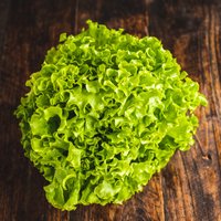 Organic Green Batavia lettuce