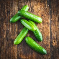 Organic Mini Snacking Cucumbers (6 pack)