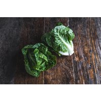 Mini Cos lettuce