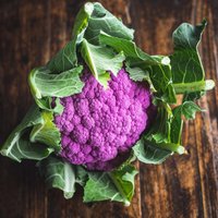 Purple cauliflower