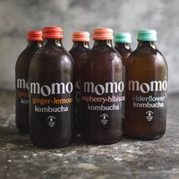 Momo kombucha case (6 x 330ml)