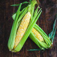 Speckled sweetcorn