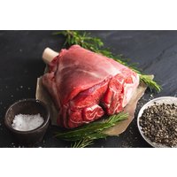 Venison shank