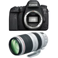Canon EOS 6D Mark II + EF 100-400mm F4.5-5.6L IS II USM