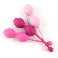 FeelzToys Kit d'Entrainement Muscles Pelviens FemmeFit Advanced