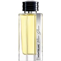 Montblanc Vetiver Glacier Frozen Santal Eau De Parfum 125 ML