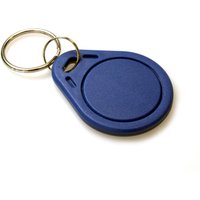 EM Microelectronic EM4200 125KHZ KeyFobs (Pack of 100)