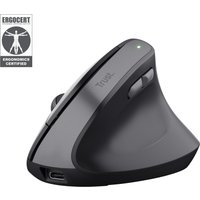 Trust Bayo II mouse Medical Right-hand RF Wireless Optical 2400 DPI