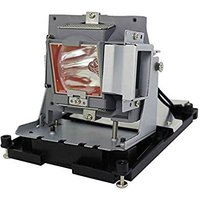 BTI Lamp for OPTOMA EH500 OEM: BL-FU310B DE.5811118436