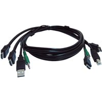 Black Box SKVMCBL-2HDMI-10 KVM cable 3.04 m
