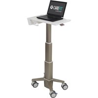 Ergotron C50-1100-0 laptop stand Grey 39.6 cm (15.6")