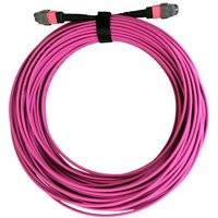 Cablenet CNL 30M OM4 B24 MTP 24F Mgnt TRUNK M-B