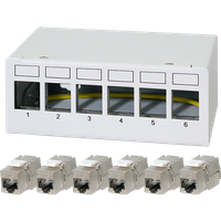 LogiLink Patch panel 6 port with 6 Cat.6A Keystone modules