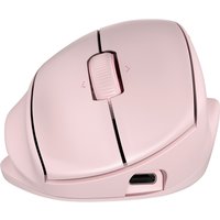 HP Tilt Ergo PNK MSE 720M EMEA-INTL EN L mouse